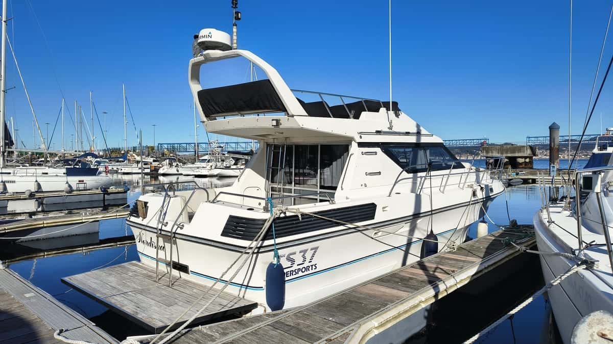 BIRCHWOOD 37 TS