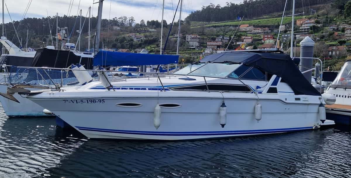 SEA RAY 300 EJES