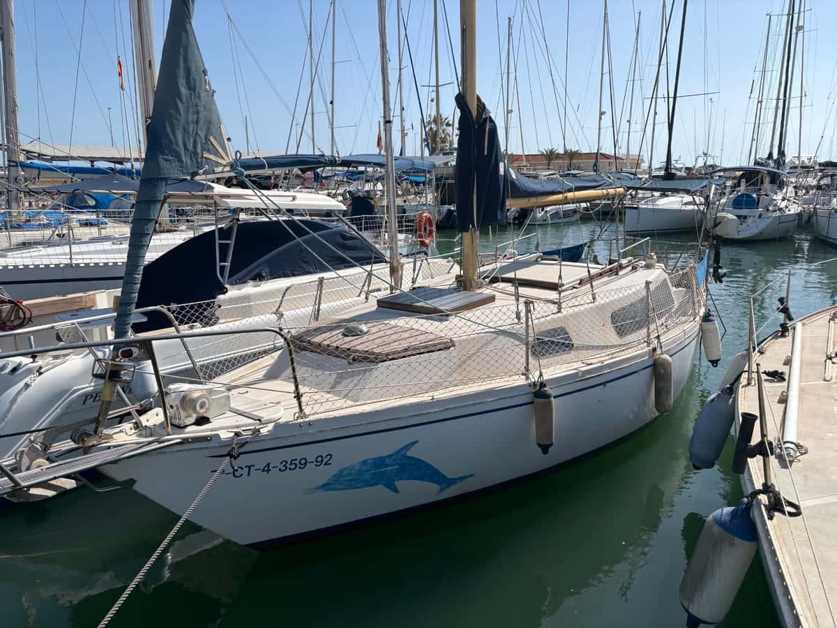 Playvisa Tornado 31