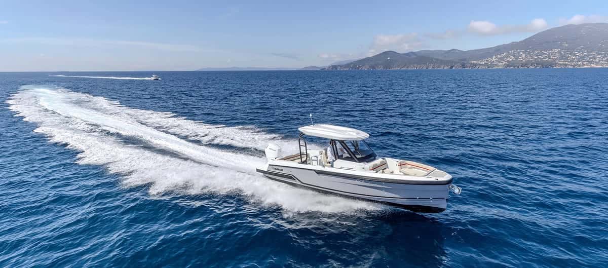 Wellcraft 28 T-Top