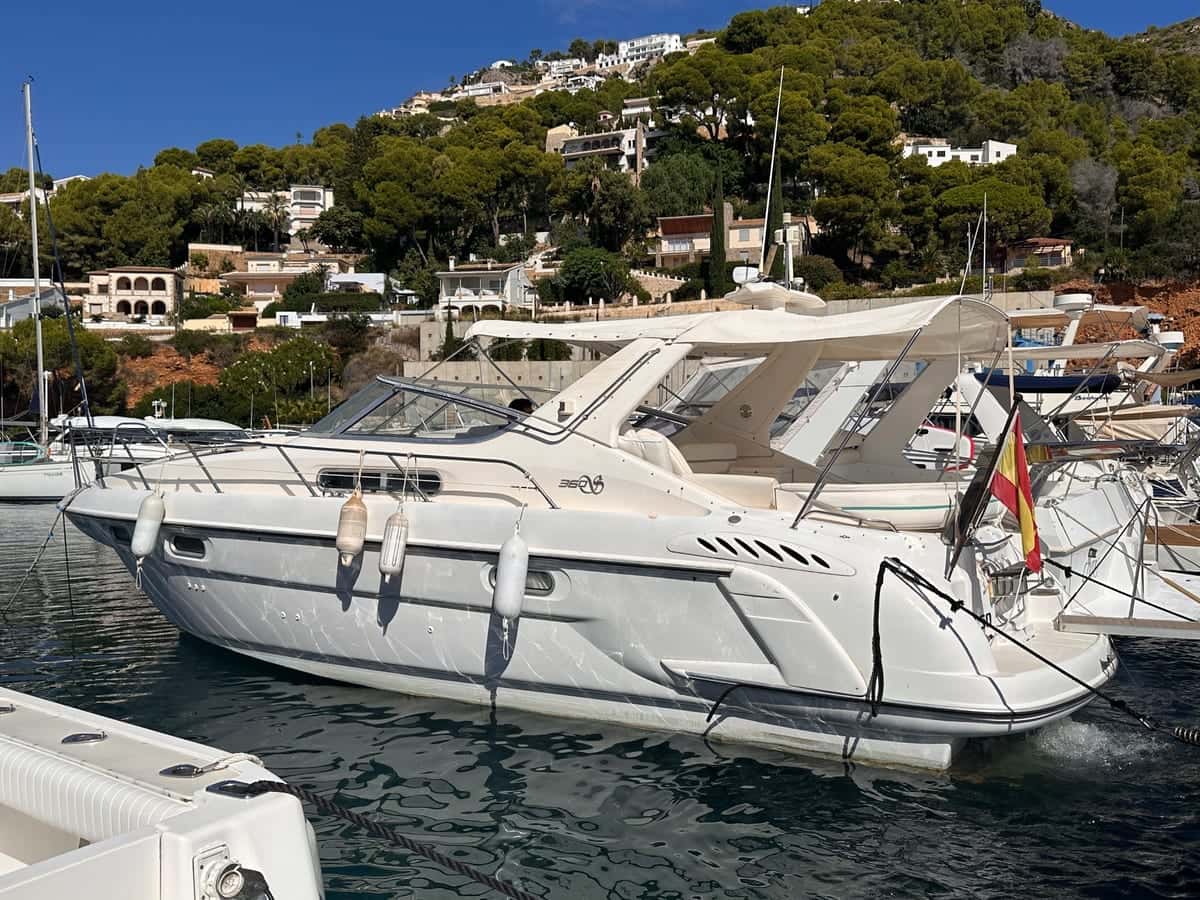 Sealine 360 Ambassador